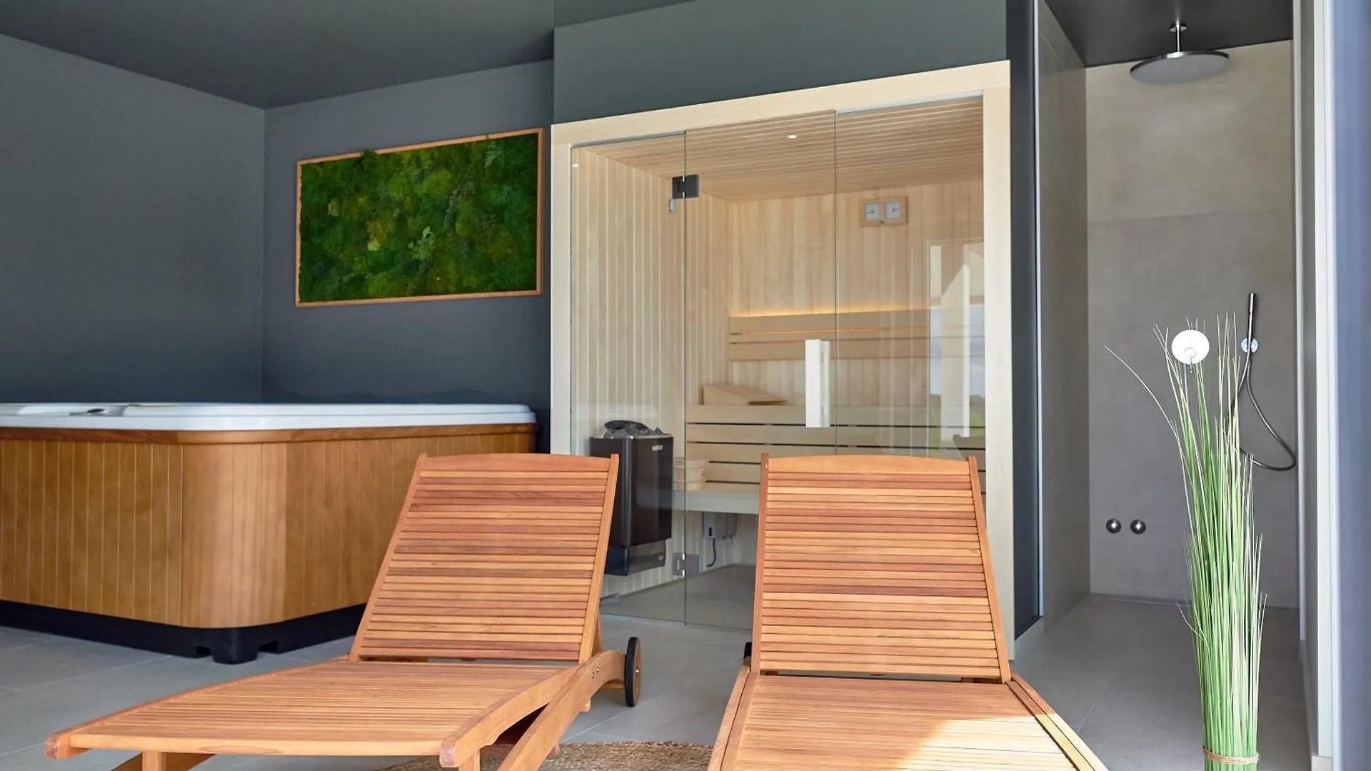 Green Forest Buzet Villa